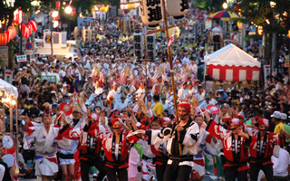 東京高圓寺阿波舞祭2