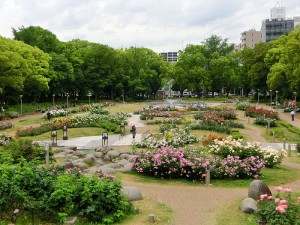 靭公園-1