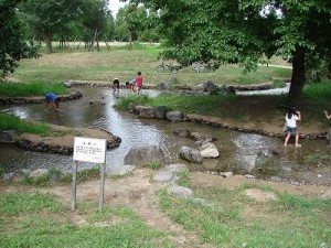 花博記念公園鶴見緑地-3