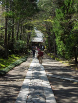 參拜鎌倉五山第三位　寿福寺-2