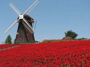 花博記念公園鶴見緑地-1