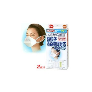 阻擋細懸浮微粒 PM2.5 呼吸用口罩 兩入