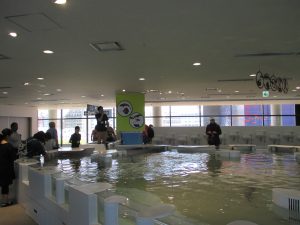 大阪旅遊實記 海遊館-25