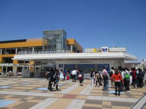 大阪旅遊實記 海遊館-6